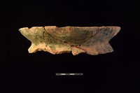 藏品(陶罐)的圖片